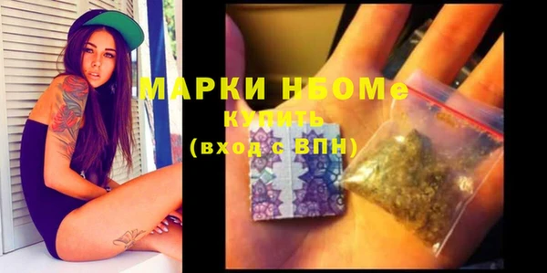 mix Богородицк