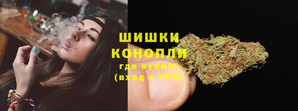 mix Богородицк